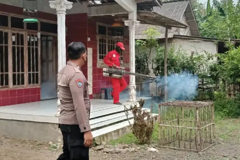 Kegiatan fogging di rumah-rumah warga