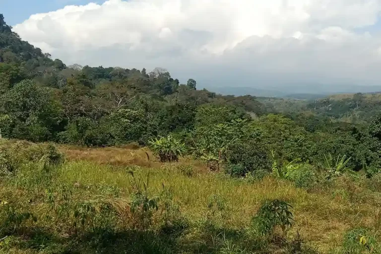 Kondisi alam Desa Seloliman, Kecamatan Trawas, Kabupaten Mojokerto